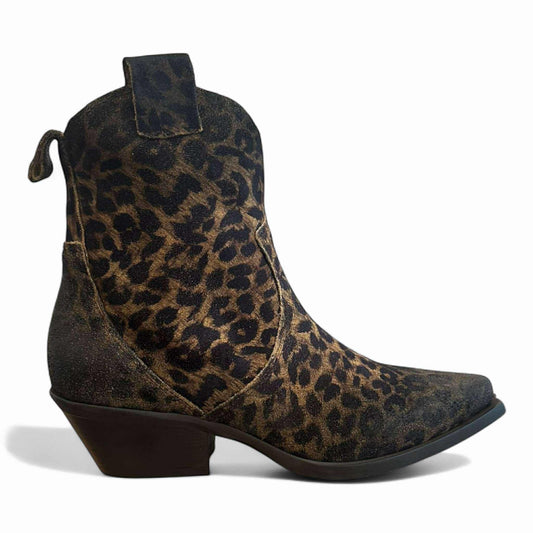 Texano maculato taupe